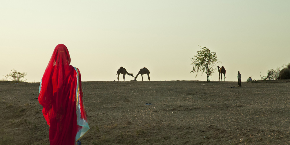 Woman in red sari at Pushkar Fair photograph by Raphael Shevelev